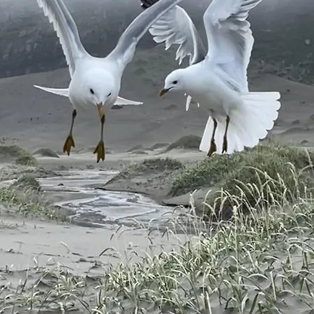 Valen In Hébergement de vacances Reine