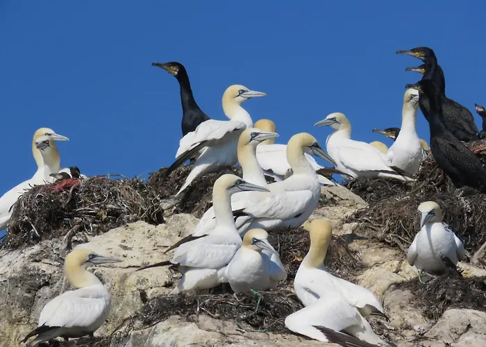 Semesterbostad Valen In *